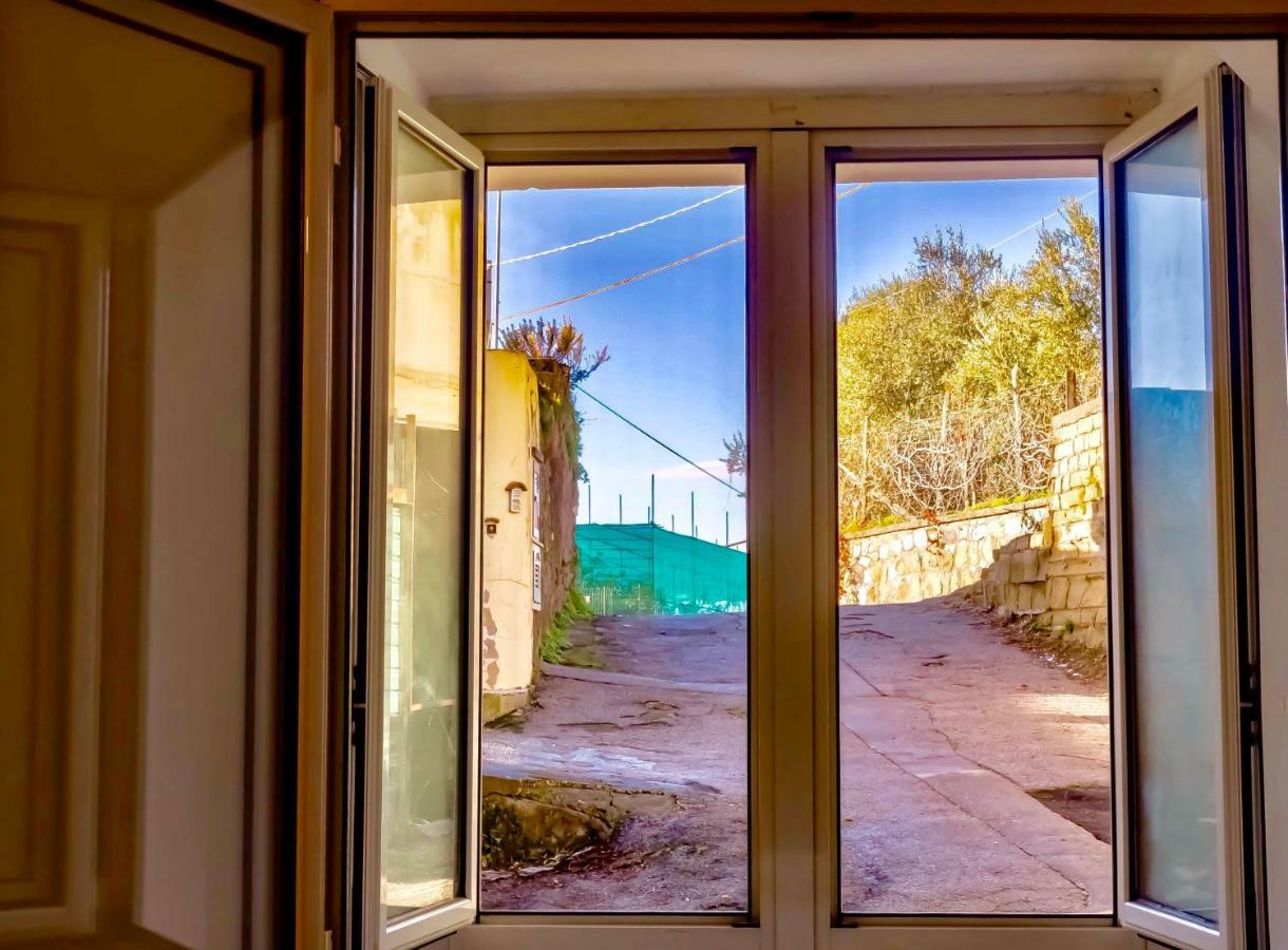 Casa Isetta & La Casetta Degli Dei Massa Lubrense Eksteriør billede